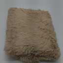 BENRON Soft Area Rugs for Living Room Bedroom Washable, Fluffy Rugs for Kids Children Girls Boys Room Decor, 3x5 Throw Rug for Nursery Kitchen Dining Table, Indoor Floor Carpets, Light Tan