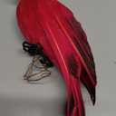 LWINGFLYER Red Artificial Parrot Life Size Foam Feather Parrot Macaw Birds for Decoration Costume Shoulder Ornament Modern Home Garden Party Decor (13.8inch/35cm)