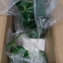 MyGift Set of 3 Artificial Plants, Faux Potted Plants Indoor, Small Fake House Plant in White Square Ceramic Pots for Shelf Decor