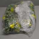 22" Spring Wreath with Swag Tail for Front Door, Vibrant Yellow Silk Forsythia & Greenery Cascading Design on Natural Grapevine Base, Rustic Farmhouse Dcor