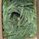 6FT 2Pack Real Touch Christmas Norfolk Pine Garland, Artificial Christmas Garland, Faux Greenery Garland with Lifelike Texture for Fireplace Mantle Table Wall Stair Indoor Outdoor Holiday Xmas Decor