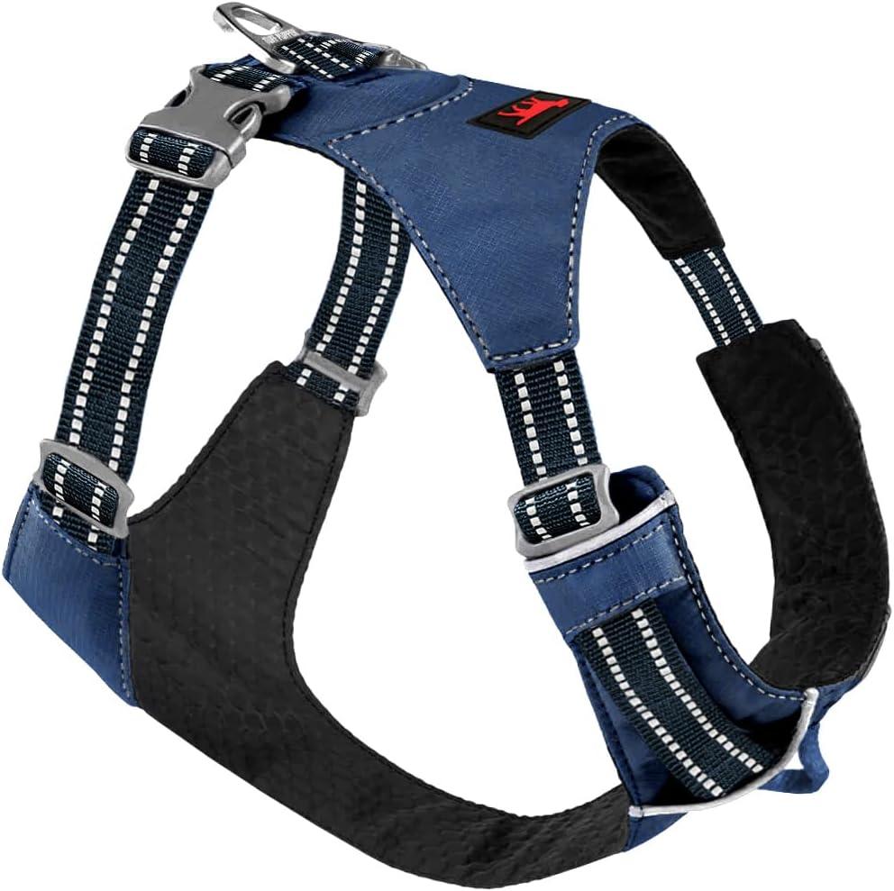Tuff Pupper All-Day Wear Dog Harness | for Walking, Trail Running, Hiking | Front & Back Leash Clips | Reflective Trim | Easy On/Off Buckles | Lightweight Breathable | No Pull Design (XXS, Blue)