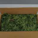 6/9ft Christmas Cedar Garland Artificial Realistic Soft and Thickness Green Faux Fake Full Cedar Pine Garland for Table, Mantle, Wall, Indoor, Outdoor Christmas Decorations (6FT)