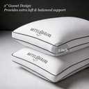 Hotel Grand King Pillows Set of 2, Medium Firm Support Down Alternative, Gusset King