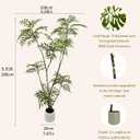 6ft Artificial Mahonia fortunei Tree Tall Fake Indoor Plant with White Plastic Planter, Large Faux Tree for Home Office Living Room Decor, Perfect Housewarming Gift