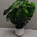 Fake Plants 21.7'' Faux Monstera Plant Tall Artificial Plants Indoor with Pots Faux Plants Fake Potted Plants Artificial Decor Fake Monstera Silk Plants for Home Living Room Bedroom Bathroom Office