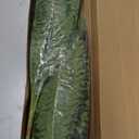 FOREST PRINCE 35" Ferns Artificial Bush Plants Large, 2 Artificial Boston Ferns with 39 Fronds for Outdoors Home Decor