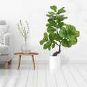 ilitphke Artificial Fiddle Leaf Fig Tree 49" Fake Potted Tree with Trunks Artificial Tree Realistic Fake Plant for Modern Home Office Living Room Floor Decor Indoor Outdoor