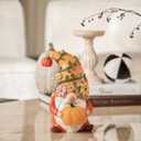 RM ROOMERS Fall Decor Gnome Figurine Decorations with LED Pumpkins, Orange Gnome for Autumn Table Decor, Small Gnome Statue for Table Centerpiece Tiered Tray Thanksgiving Decoration