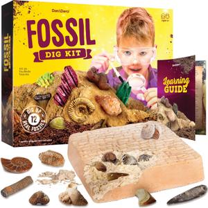 Dan&Darci Real Fossil Dig Kit for Kids - Science Kits for Boys & Girls Age 8-12 - Birthday Gift Ideas for 8, 9, 10, 11, 12 Year Old Boy or Girl - Fossils Digging STEM Toys for Ages 8-13