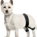 CHAMIN Dog Hip Brace  Support Harness for Hip Dysplasia, Joint Pain Relief, Prevents Hip Joint Issues, Orthopedic Support for Dogs(Small)
