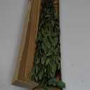 Real Eucalyptus Stems Greenery Decor 20PCS 17" Dried Willow Eucalyptus Plant Preserved Greenery Stems for Home Vase Filler Wedding Flowers Arrangement Spring Mother's Day Decorations