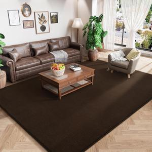 Amearea Modern Area Rugs for Bedroom Living Room, 4x6 Feet Brown Thickened Memory Foam Rug, Fluffy Indoor Washable Rugs Non Slip Minimalist Carpet for Kids Boys Girls Dorm Nursery Room Decor
