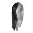 Synthetic Half Black Half Grey Gradient Long Straight Wig for Women Cosplay Fashion Hairpiece for Parties Halloween Daily Use