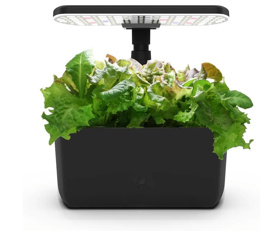 AeroGarden Harvest Lite in Black, Soil-Free Indoor Hydroponic Garden with LED Grow Light for Year-Round Gardening of up to 6 Herbs and Vegetables