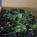 60 Pcs Artificial Roses Bulk Velvet Silk Black Roses Roses for Wedding Centerpieces Bridal Bouquet Mohter's Day Valentine's Day Halloween Home Decor(60, Black)