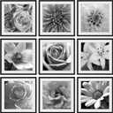 Eletecpro 24x24 Picture Frames Set of 9, Classic Gallery Wall Frame Set for 20x20 Photos with Mat or 24x24 without Mat, Storyline Picture Frame for Art Prints, Black Poster Frames for Home Decor Wall