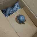 BISSELL Steam Shot OmniReach handheld portable steam cleaner for tile, grout, windows, bathrooms, kitchens, fabric steaming tool