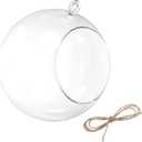 PATIKIL Round Globe Terrarium Air Plant Planter, 6.3 Inch High Borosilicate Glass Hanging Decorations for Succulent, Tillandsia, Clear