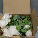 50pcs Ivory Roses Artificial Flowers Bulk,Fake Roses Silk Flower with Stems Realistic Flowers for Wedding Centerpiece Home Party Decor