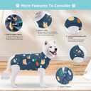 Recovery Suit for Dogs, Dog Surgery Recovery Suit with Zipper Closure Post Spay, Neuter, Abdominal Surgical Suit for Male Female Dogs Can Pee, Prevent Licking Dog Onesies (Blue Bear, Large+)