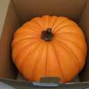 LFF 10.3"x12.8" Large Orange Fake Pumpkin Fall Halloween Thanksgiving Decor