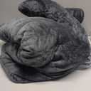 Westinghouse Electric Blanket Twin, Heated Blanket Twin Size with 10 Heating Levels and 1 to 12 Hours Heating Time Settings, Flannel to Sherpa Reversible, Machine Washable (62" x 84", Charcoal)