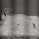 Contour Memory Foam Pillow Orthopedic Sleeping Pillows, Ergonomic Cervical Pillow for Neck Pain - for Side Sleepers, Back and Stomach Sleepers, Free Pillowcase Included (Firm & Queen) (24*15*4.8 inches), White)