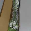 VIERENA Artificial Greenery Stems Box Set(Pack of 85pcs) with 8 Kinds of Faux Plants and Fake Flowers for DIY Wedding Bouquet Table Centerpieces and Floral Arrangement (White&Dusty Green)