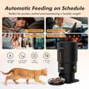 Automatic Cat Feeder - 5L Anti-Clog Cat Food Dispenser Keeps 2-15mm Dry Food Fresh, 10s Voice, 1-6 Meals/Day, Programmable Portions, 180-Day Battery Life, Easy to Clean Auto Pet Feeder for Small Dog