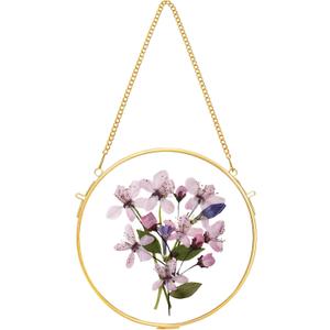 REDHUGO Glass Frame for Pressed Flowers Handmade, Wall Hanging Brass Floating Frame, Double Glass Round Picture, Glass Frame for Dried Flowers Poster Home Wall Decor, Circle, Gold  Gold, 6.3"L x 6.3"W (FRAME ONLY)