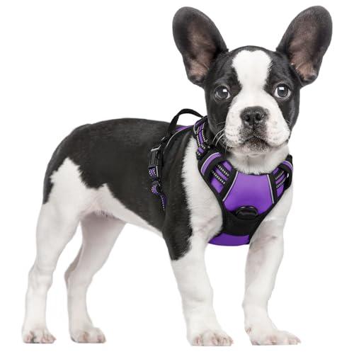 rabbitgoo Dog Harness No Pull with 2 Leash Clips, Adjustable Soft Padded, Reflective Oxford No Choke Pet Vest with Easy Control Handle for Small Dogs, Purple, S