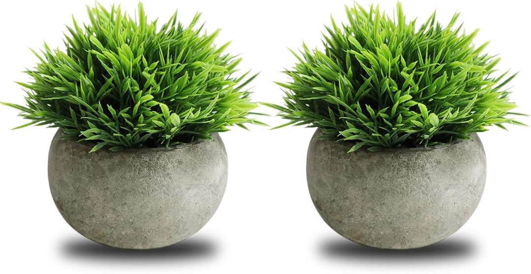 THE BLOOM TIMES 2 Pcs Small Fake Plants for Home Decor Indoor, Artificial Faux Potted Greenery for House Office Decorations