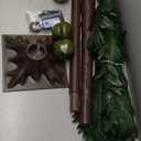 Christmas Solar Palm Tree Lights, 7FT 180 LED with Remote and Plug for Outdoor, 8 Modes Lighted up Waterproof Artificial Fake Tree with 5 Coconuts for Tiki Bar Patio Porch Pool Indoor Decor