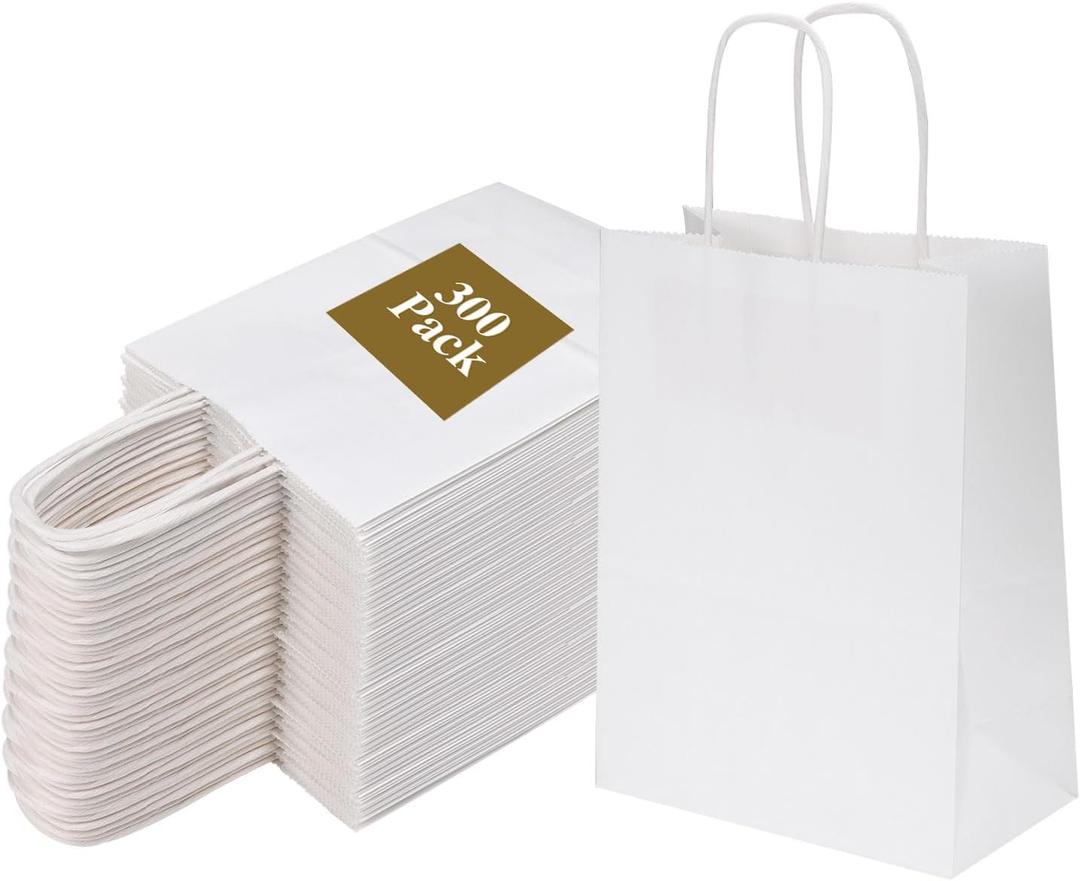 Joybe 300 Pack 5.95x3.25x8 Inch Small White Paper Bags with Handles Bulk, Kraft Paper Gift Bags for Birthday Party Favors Grocery Retail Shopping Business Goody Merchandise Craft Blank Sacks (300pcs)