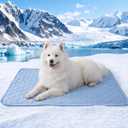 PatiencET Large Dog Cooling Mat, 32 x 44 in No-Gel Cooling Pad for Dogs, Cool Touch Nylon Pet Mat, Washable Dog Mat for Crate, Kennel, Bed, Floor, Sofa, Car, Blue