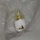 Glass Replacement Flower Vase, CartaV 2 Focus v Tall Decorative Pencil Design, Carta V2 Glass