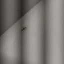 Levi's Women's 725 High Rise Bootcut Jeans (32 Short, Soft Clean White)