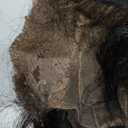 Jupade Kinkystraight Human Hair Wig13x6 Lace Front Yaki Straight Human Hair Wig 22 Inch 200% Density 100% Real Raw Materail Wigs Take Color Well True to length Natural Black Color