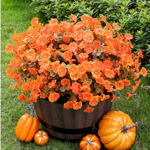 Lnoicy Artificial Fall Mums 12 Bundles Eucalyptus Fake Flowers for Planter,Fake Morning Glory for Halloween Home/Porch/Garden Decoration (Fall Orange)