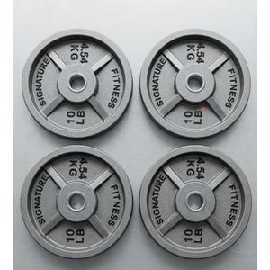 Fitvids standard Cast Iron 1-inch Weight Plate for Strength Training & Weightlifting, 10LB Set of 4