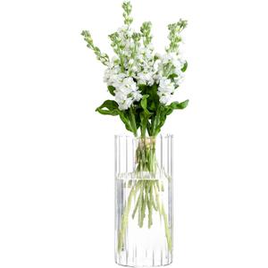 Gute 10 Inch Glass Vases for Decor, Flower Vase for Home Decor, Modern Decorative Clear Vase Centerpieces Living Room, Kitchen
