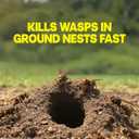 Raid Outdoor Wasp Ground Nest Killer, Dust Insecticide for Outside Household Use on Wasps, Fast-Working, Easy-to-Use and Odorless, 24 oz