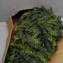 Christmas Cedar Garland - 9ft Artificial Cedar Garland Faux Lush Green Fake Pine Needles for Fireplace,Table,Window,Stairs,Mante,Holiday Indoor Outdoor Xmas Decor(1PCS)