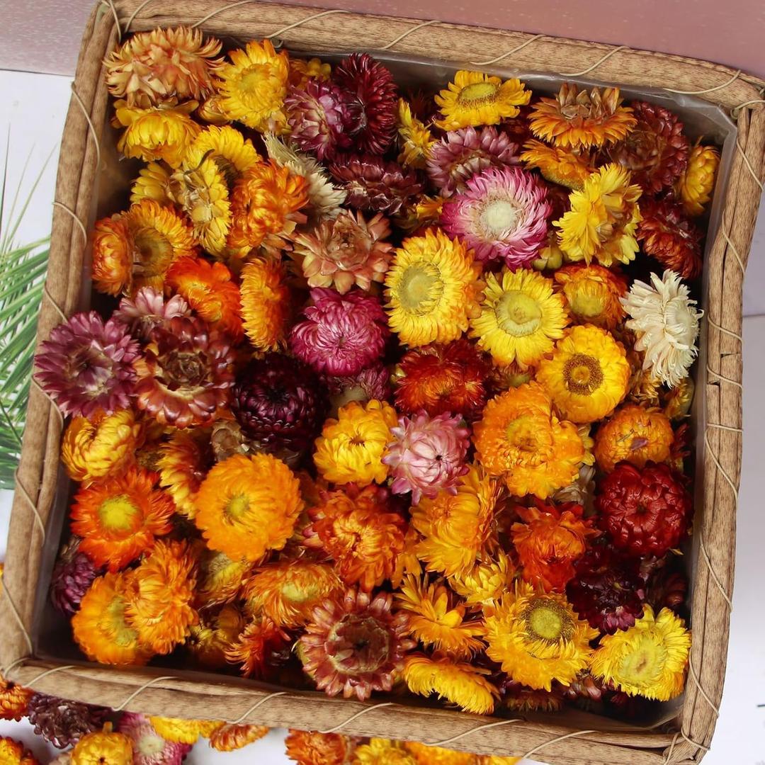 Natural Dried Flowers for Crafts, Mixed Daisies & Sunflower Heads, Chrysanthemum Petals for Candle Making, Wreaths, Wedding Decor, DIY Crafts (100-120)