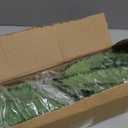 Artificial Boston Fern Bush- Set of 2 Large Artificial Ferns for Outdoors, 45Inch Large Faux Ferns, Suitable for Office & Living Room Decor, 55Branches for Each Bouquet