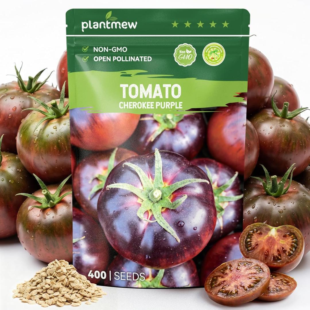 400 Heirloom Cherokee Purple Tomato Seeds for Planting – Unique Dark Purple Beefsteak, Rich Flavor, High Germination, Ideal for Home Garden & Container (EXP 11/17/27)