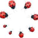 Arsnature 8PCS Realistic Ladybugs Refrigerator Magnet - Magnetic Ladybugs for Fridge & Garden - Cute Magnet for Home, Kitchen, Office, Whiteboard