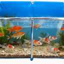 PVC Fish Pond,Above Ground Fish Tank,Goldfish/Koi Pond with Clear Viewing Panel, Outdoor Canvas Aquarium with Stainless Steel Frame & Drain Valve for Outside,47.2 * 31.5 * 23.6in,152 Gallon