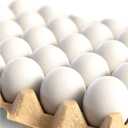 CALPALMY 24 Pieces Hyper-Realistic White Wooden Eggs - 2 Dozen Fake Easter Eggs for Painting, Decorating, Crafting, Pretend Play, Simulation Toys, Fake Food, Nest Box Training